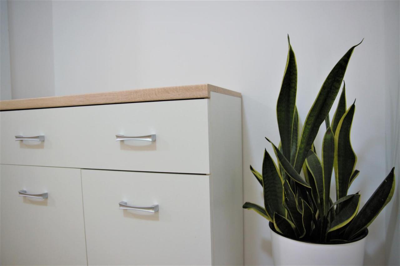 Central Modern Apt With Garden Струга Экстерьер фото